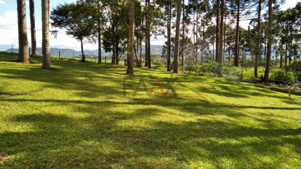 Sítio, 215304 m² - Foto 8