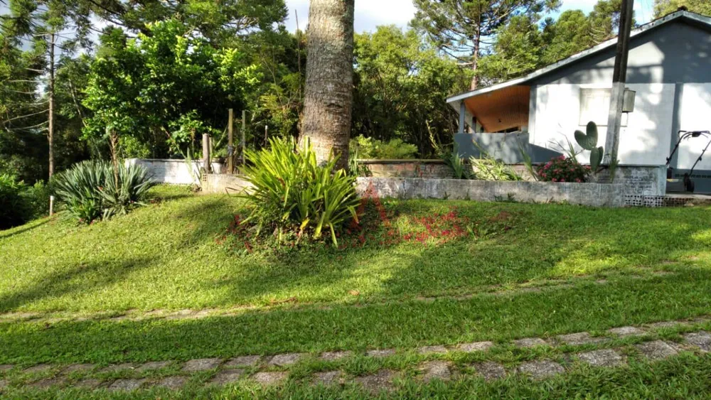 Sítio, 215304 m² - Foto 7