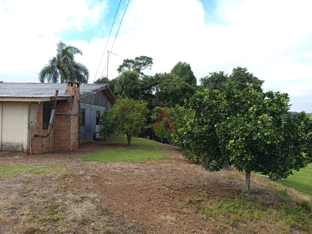 Chácara, 3 quartos - Foto 8