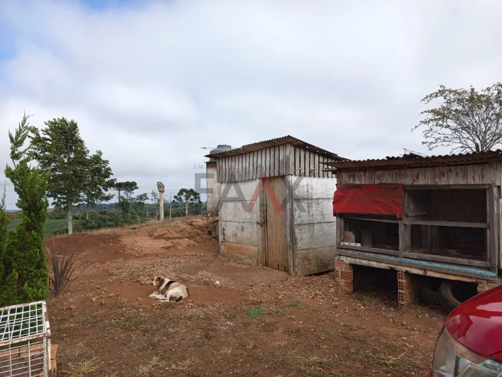 Chácara, 3 quartos - Foto 6