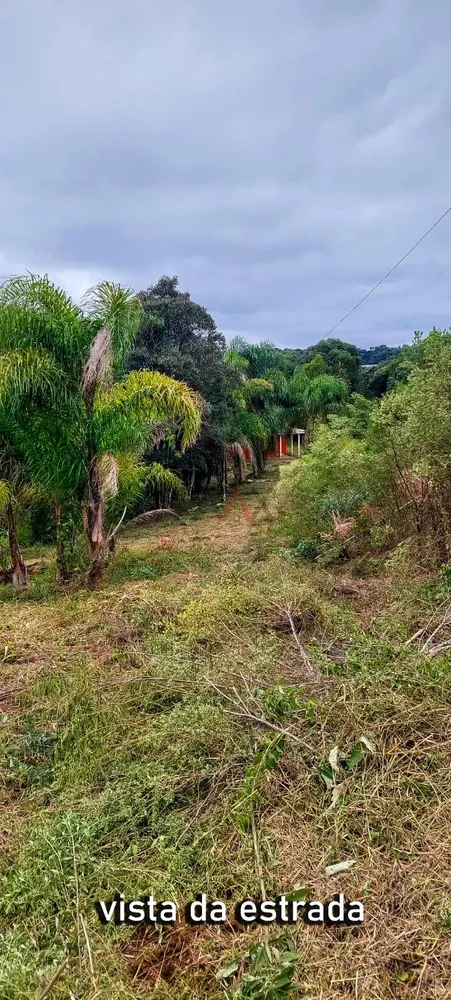Chácara, 2 quartos - Foto 4