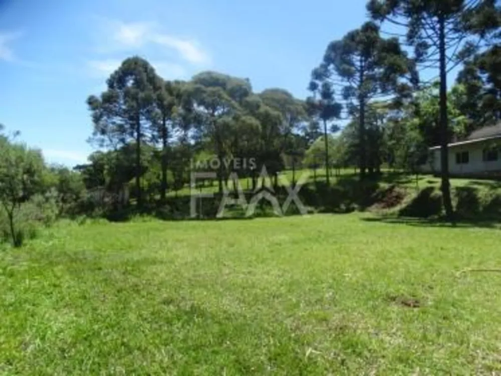 Chácara, 2 quartos - Foto 6