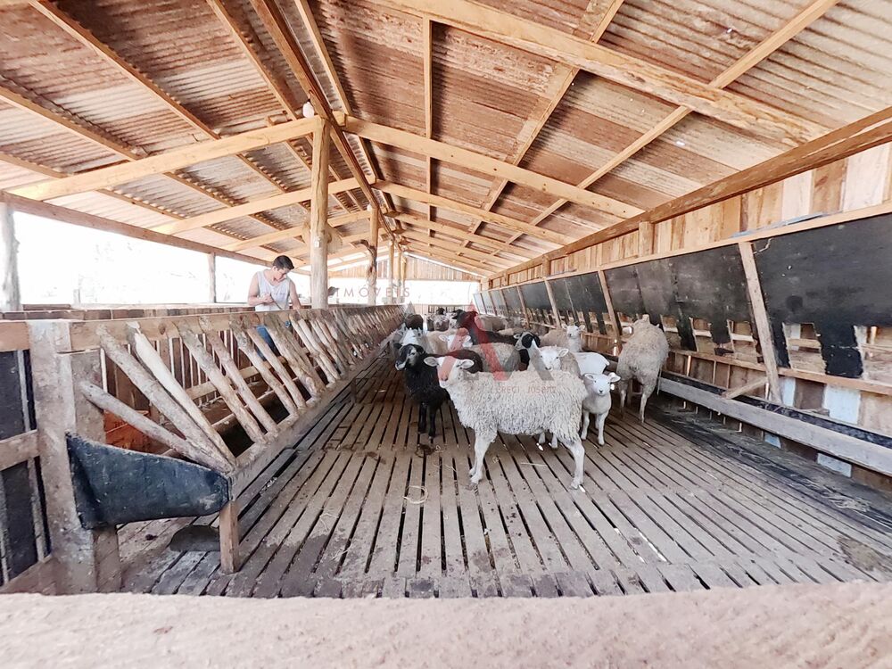 Chácara à venda, 24200m² - Foto 5