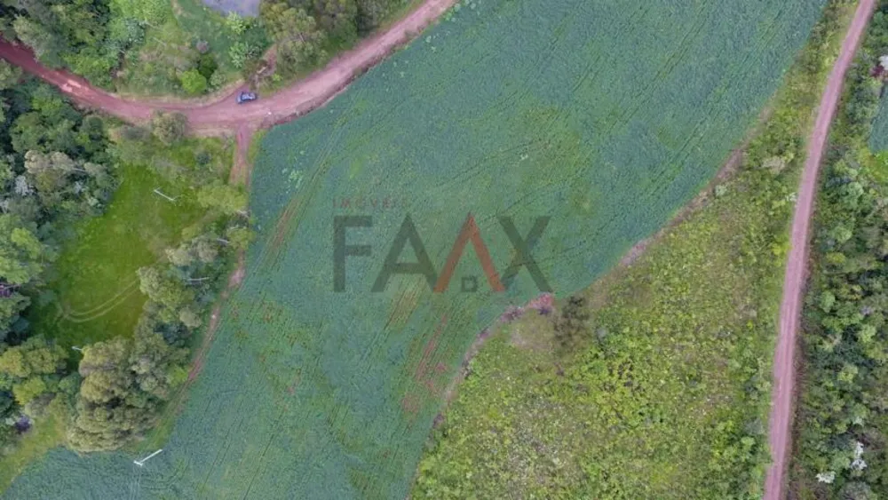 Fazenda - Foto 1
