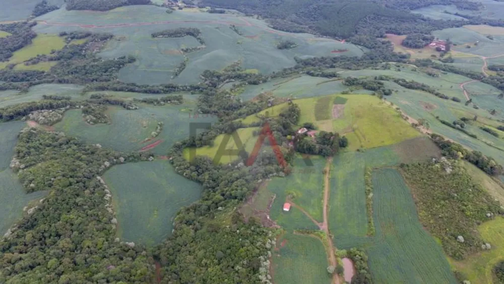 Fazenda - Foto 6