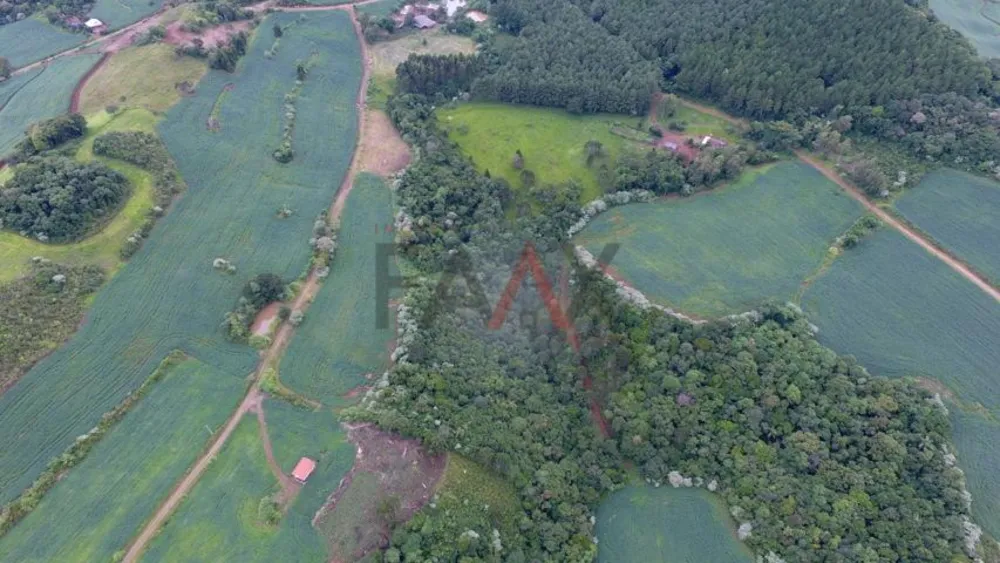 Fazenda - Foto 7