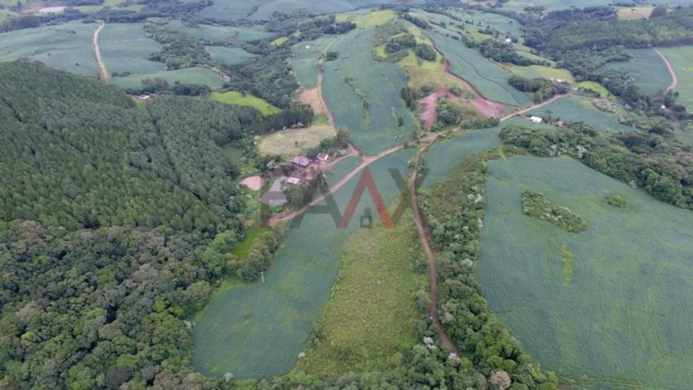Fazenda - Foto 3