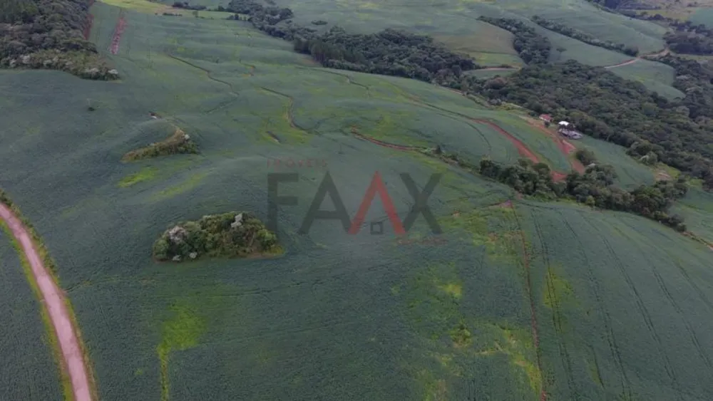 Fazenda - Foto 4
