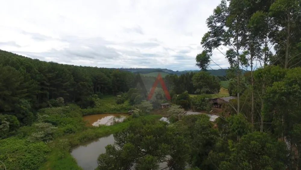 Fazenda - Foto 3
