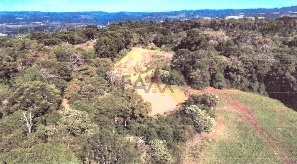 Terreno, 45375 m² - Foto 3