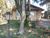 Terreno, 240 m² - Foto 1