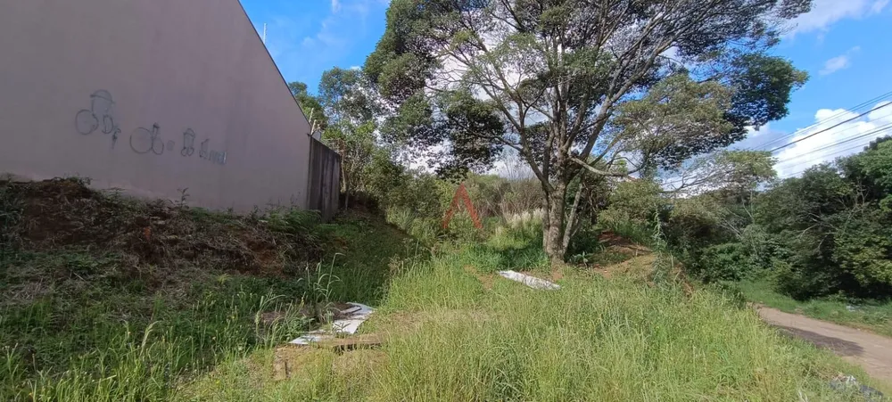 Terreno, 189 m² - Foto 4
