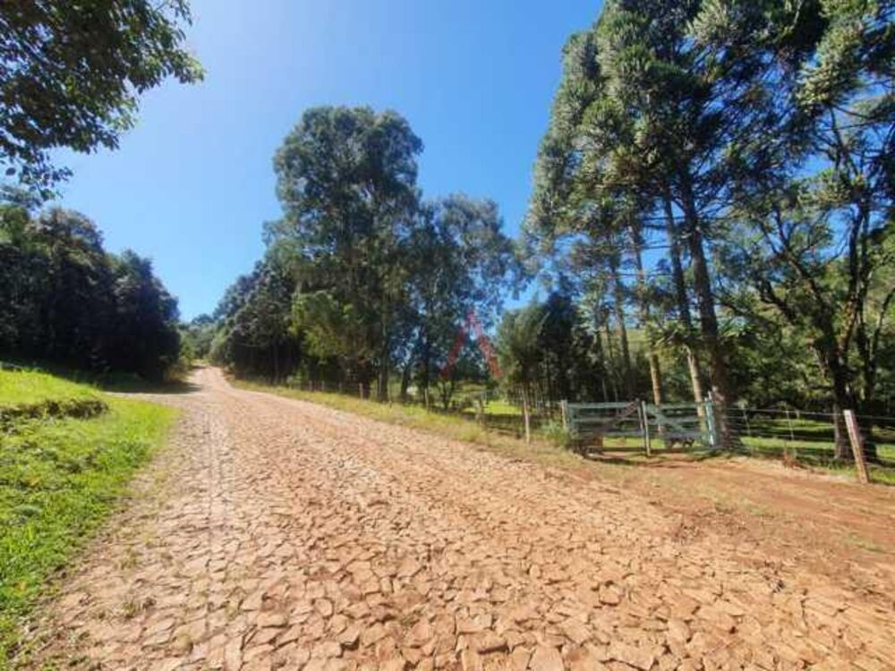 Chácara à venda, 122962m² - Foto 57