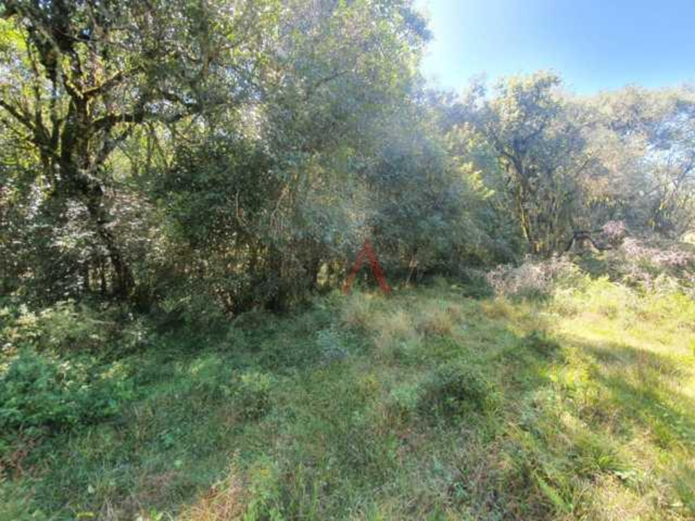 Chácara à venda, 122962m² - Foto 15