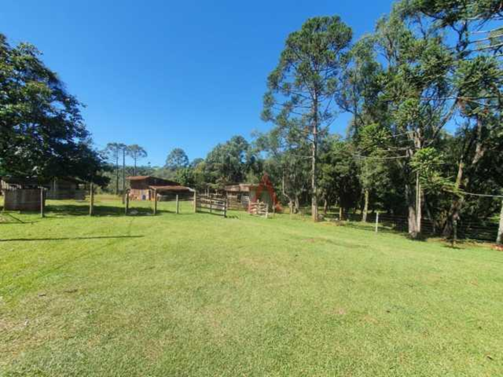 Chácara à venda, 122962m² - Foto 9