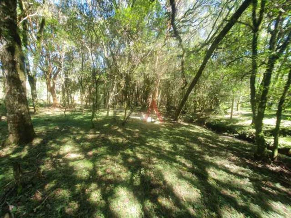 Chácara à venda, 122962m² - Foto 39