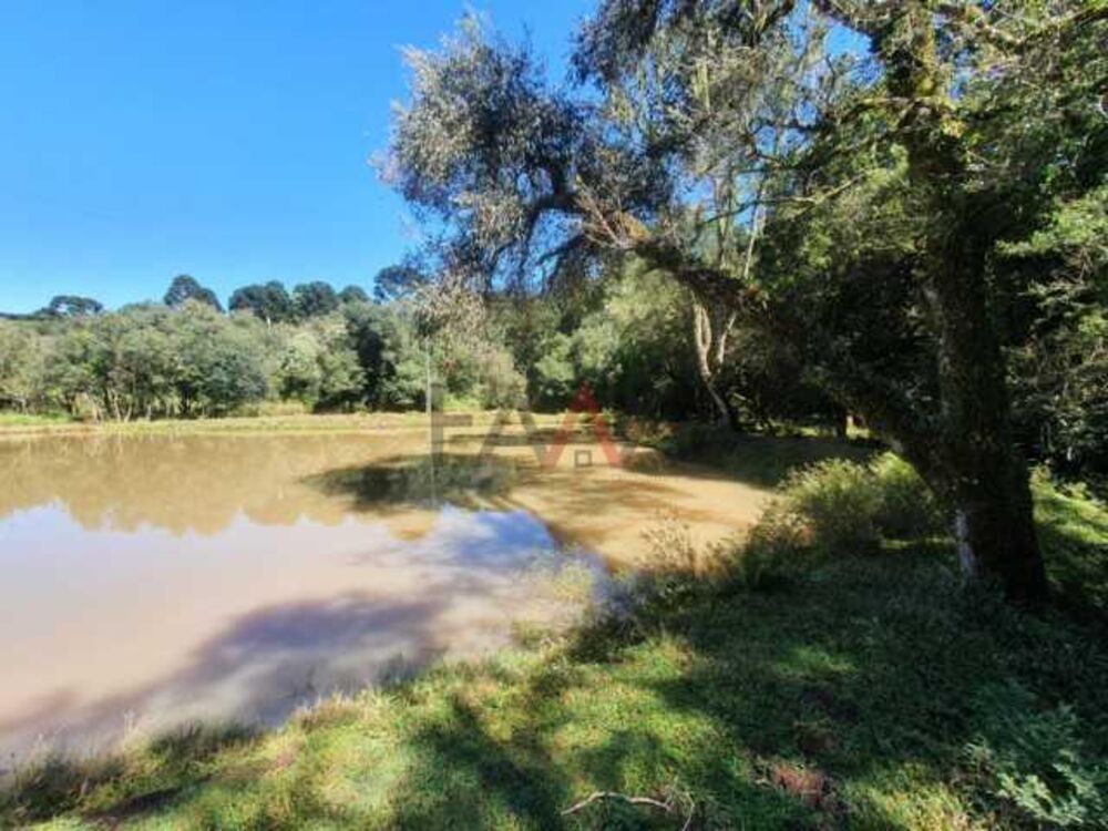Chácara à venda, 122962m² - Foto 63