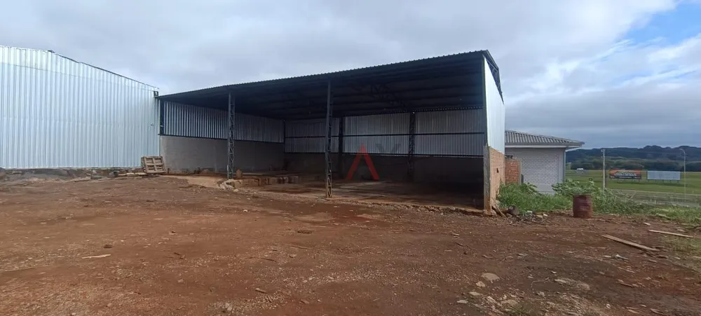 Depósito-Galpão - Foto 1
