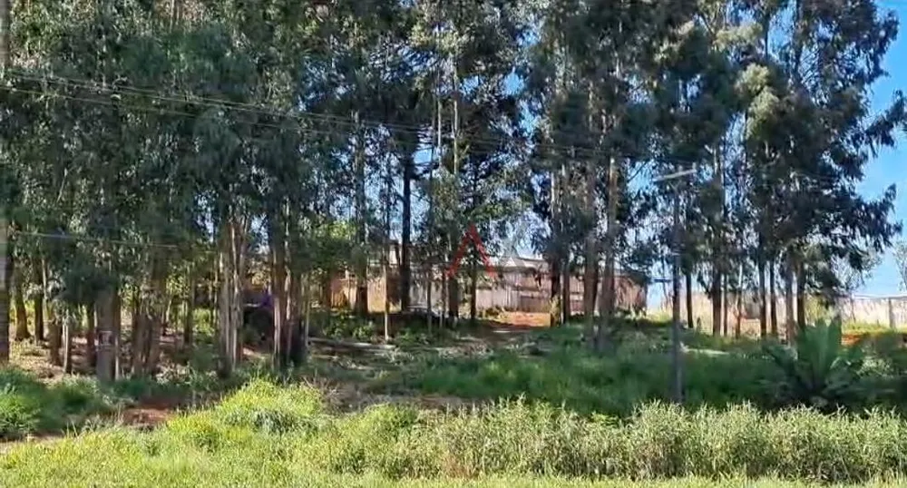 Terreno, 2420 m² - Foto 4