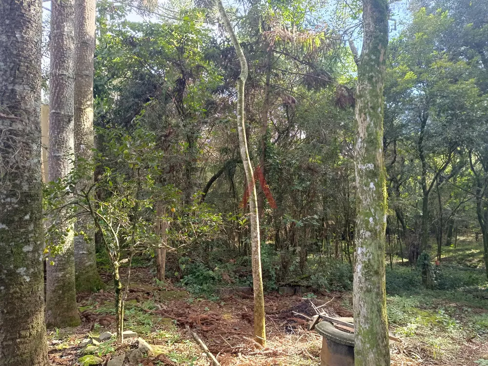 Terreno à venda, 1400m² - Foto 3