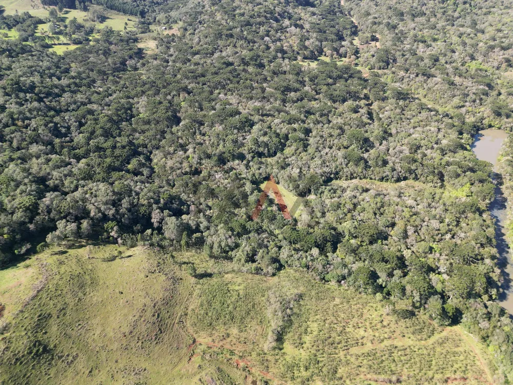 Terreno, 28500 m² - Foto 4