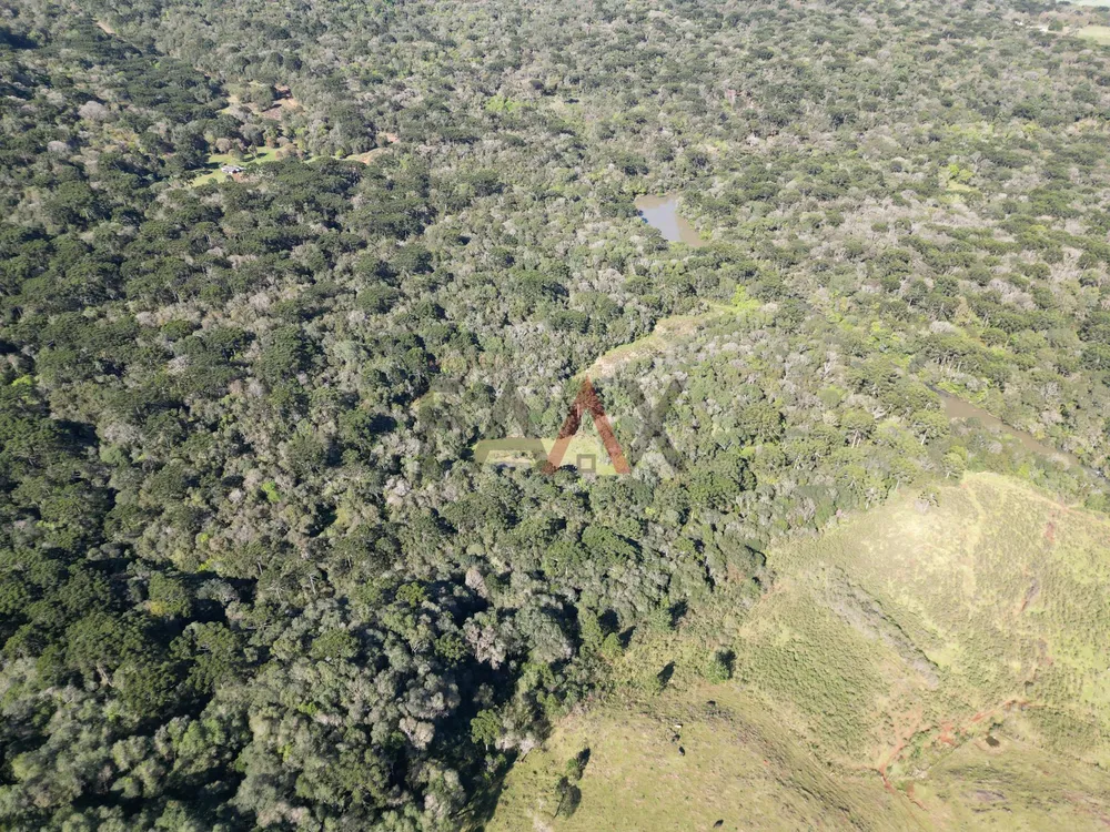 Terreno, 28500 m² - Foto 2