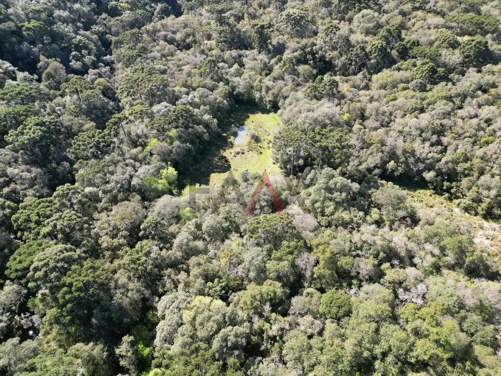 Terreno, 28500 m² - Foto 7