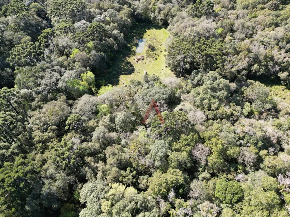 Terreno, 28500 m² - Foto 6