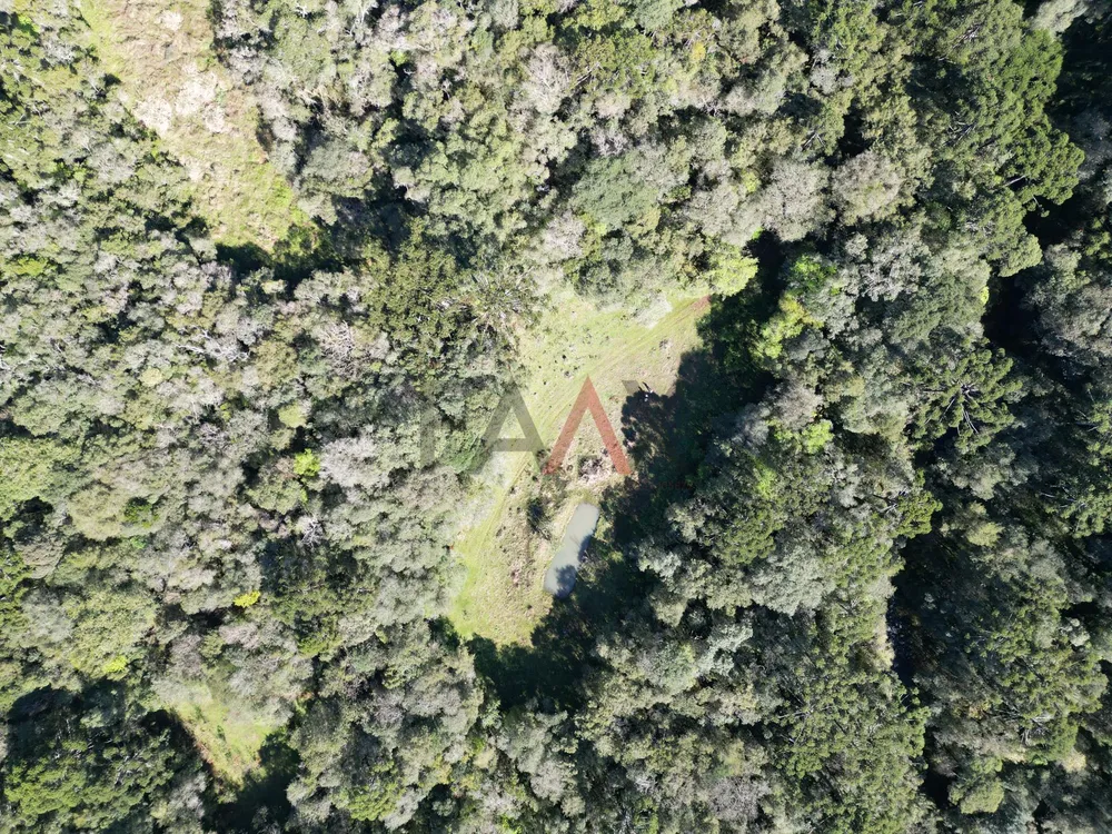Terreno, 28500 m² - Foto 5