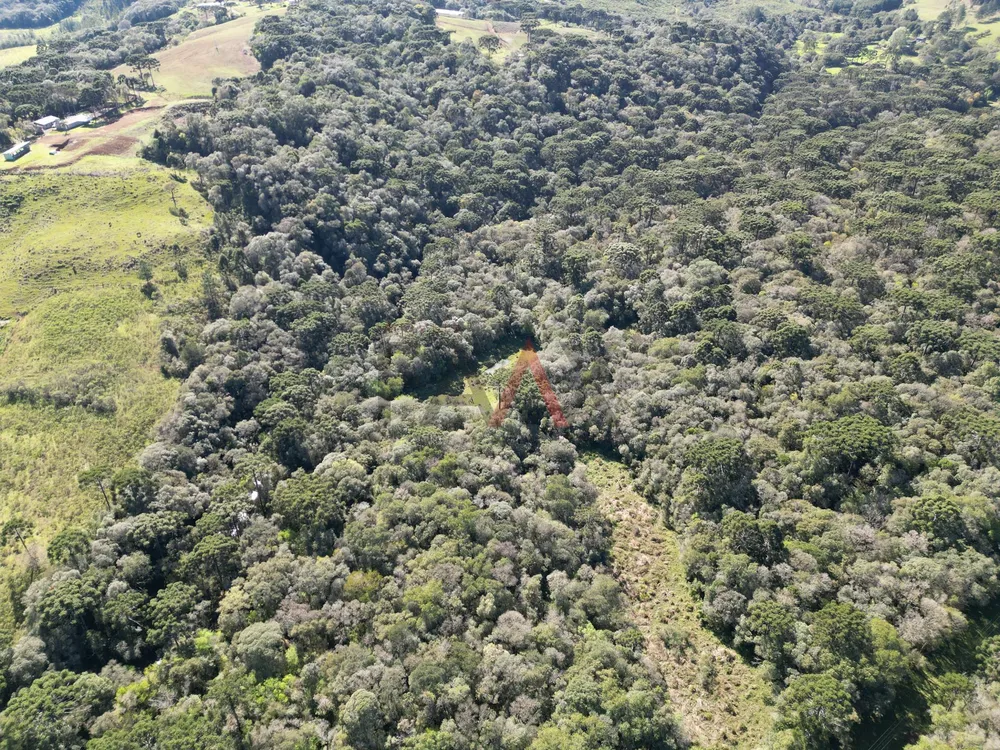 Terreno, 28500 m² - Foto 8