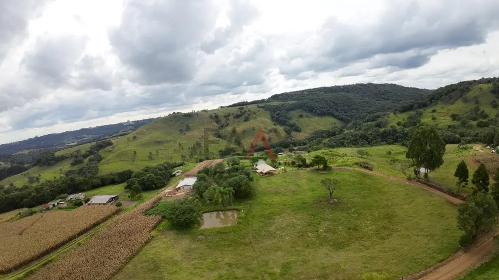 Sítio, 3 quartos, 20000 m² - Foto 6