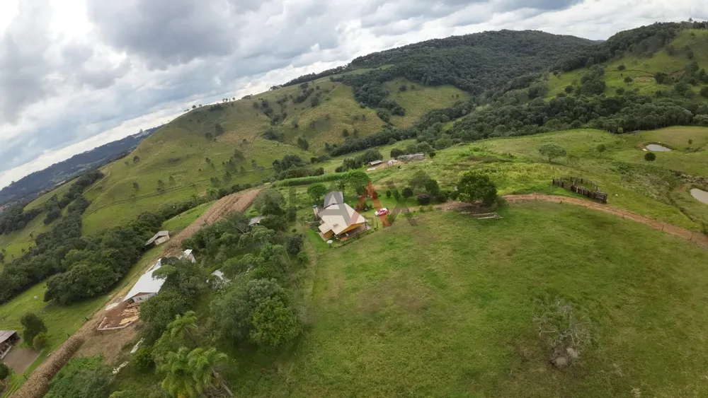 Sítio, 3 quartos, 20000 m² - Foto 3