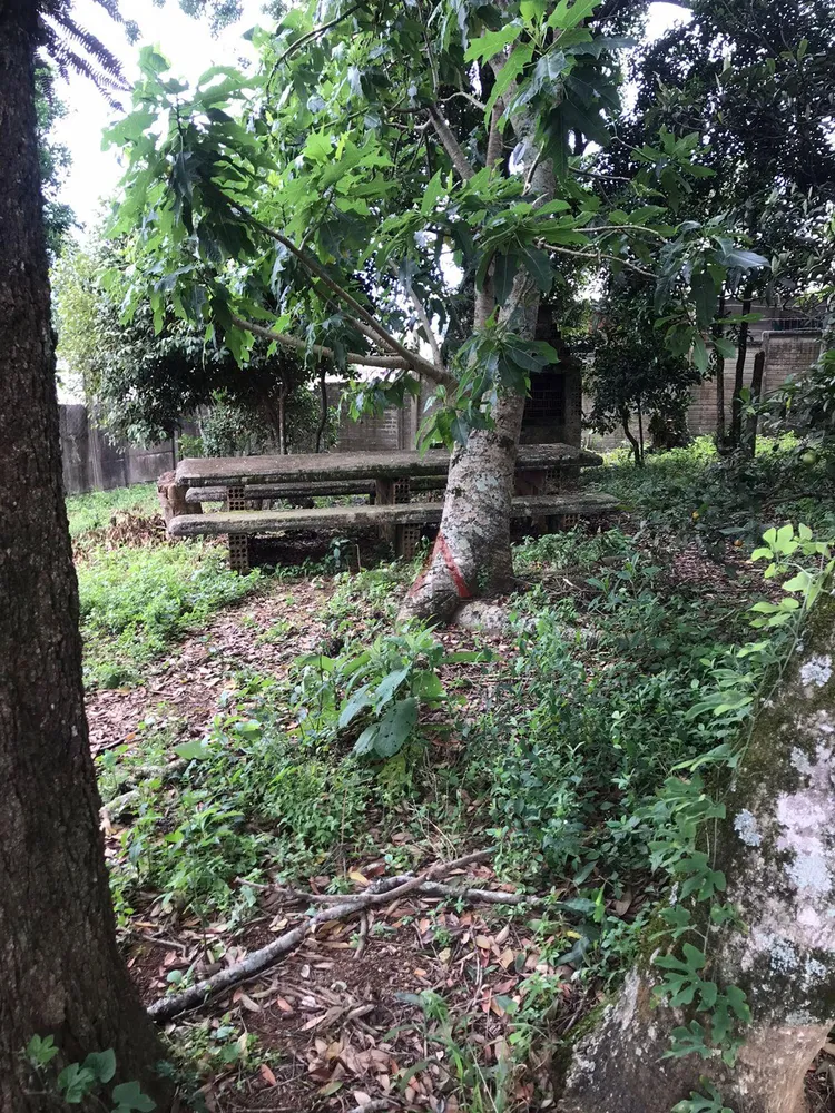 Terreno, 700 m² - Foto 4