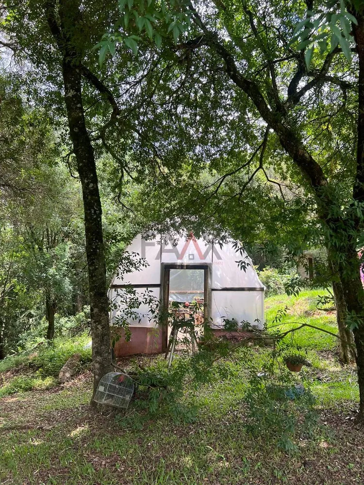 Chácara - Foto 3