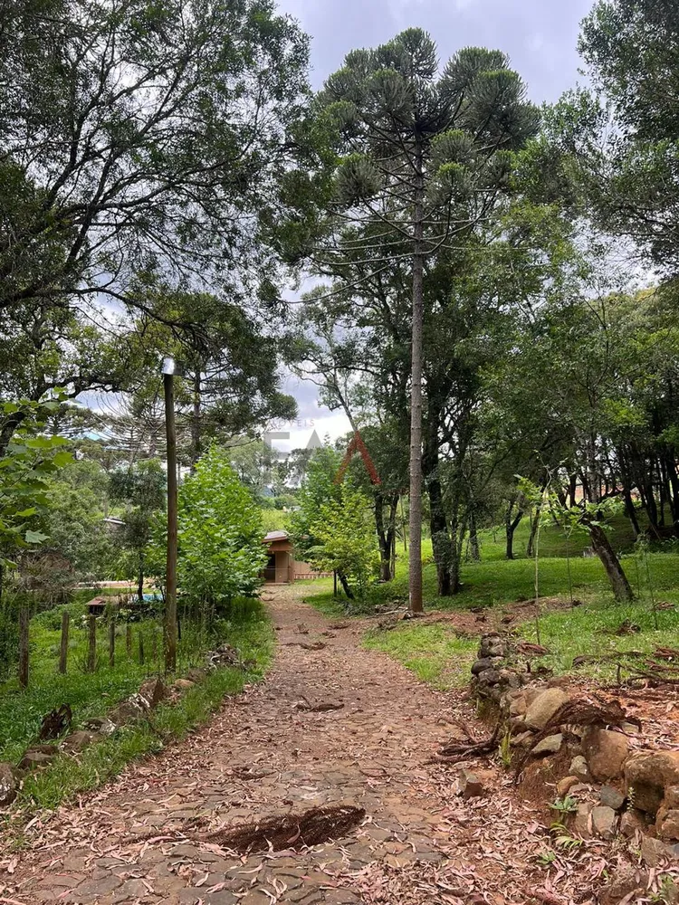 Chácara - Foto 2