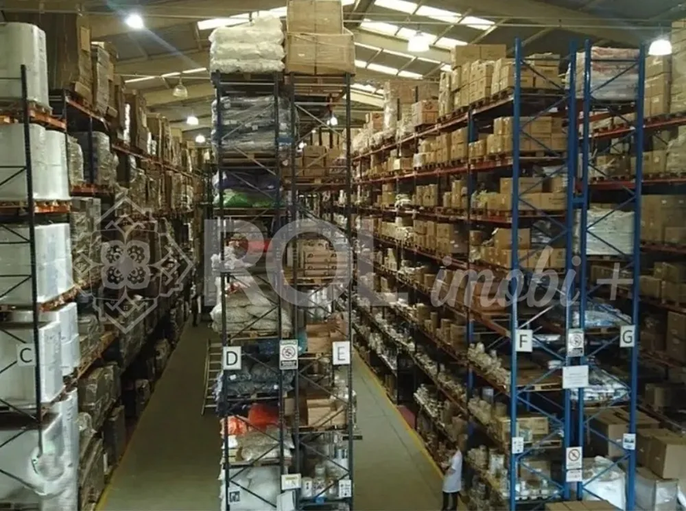 Depósito-Galpão, 6000 m² - Foto 4