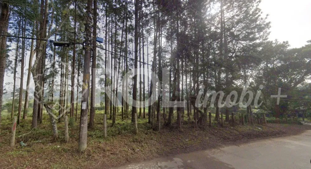 Terreno, 5 hectares - Foto 4