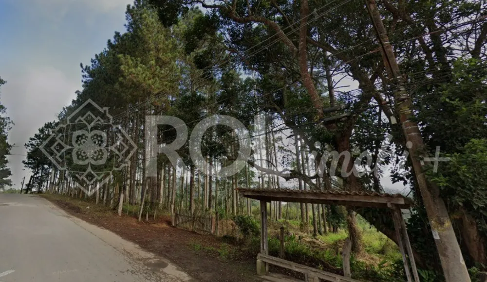 Terreno, 5 hectares - Foto 3