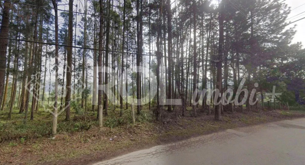 Terreno, 5 hectares - Foto 1