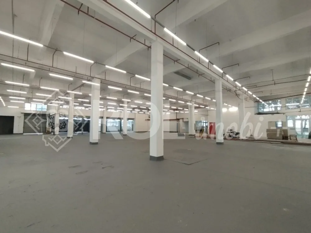 Depósito-Galpão, 5198 m² - Foto 4