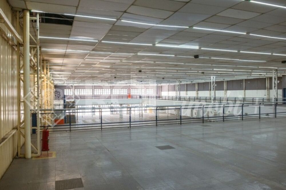 Depósito-Galpão, 4536 m² - Foto 4