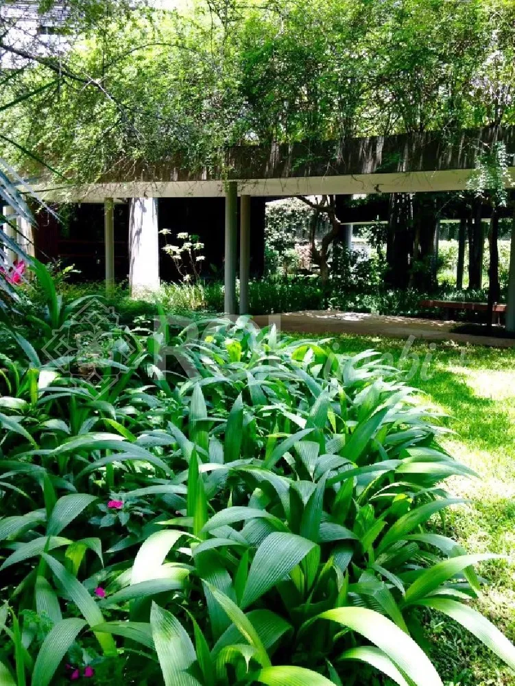 Apartamento, 4 quartos, 300 m² - Foto 13