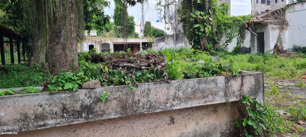 Terreno, 1800 m² - Foto 13