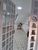 Casa, 4 quartos, 150 m² - Foto 22