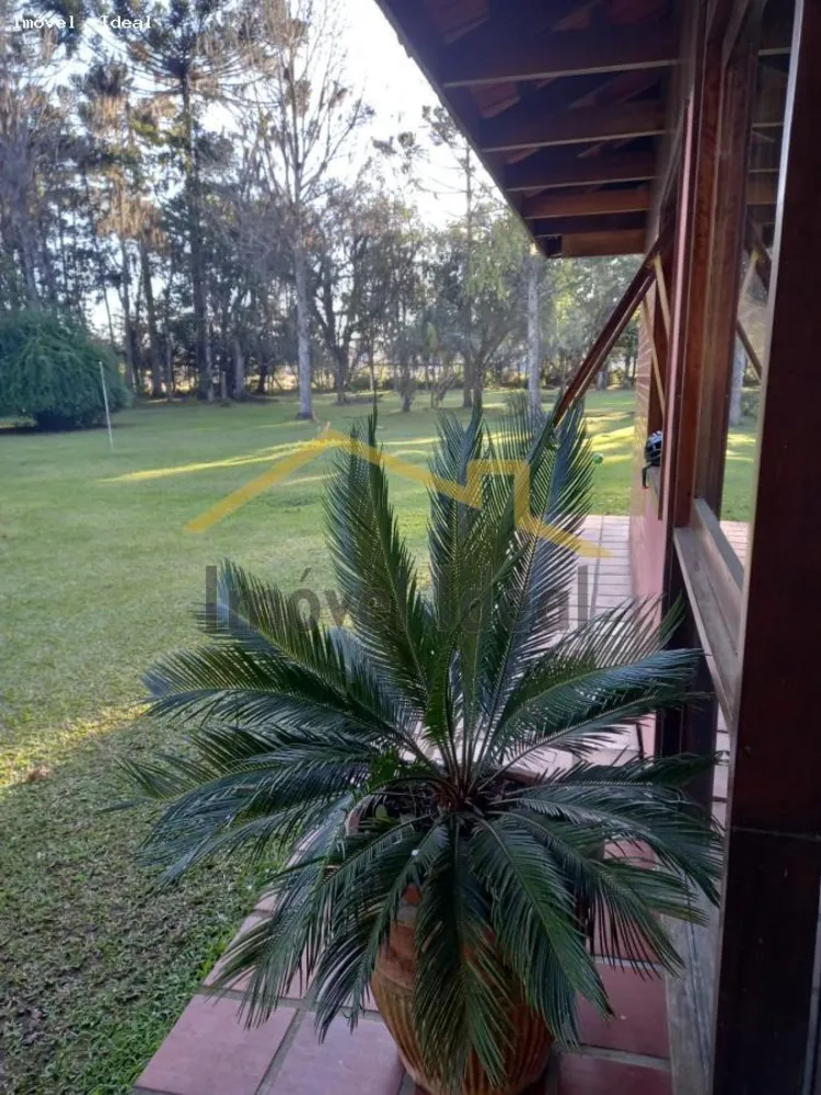 Chácara, 3 quartos, 3 hectares - Foto 11