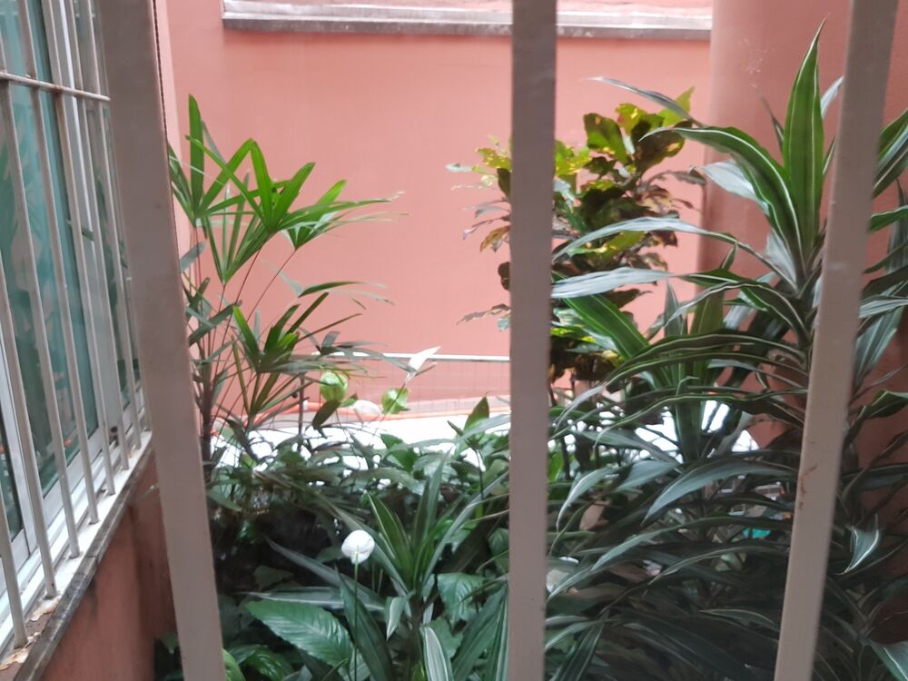 Casa, 3 quartos, 180 m² - Foto 14