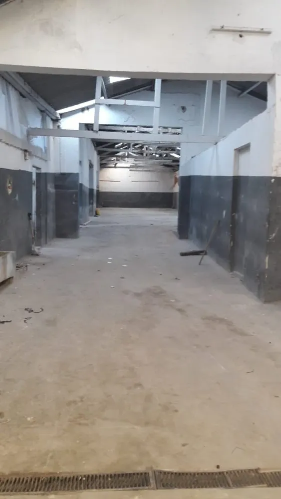 Depósito-Galpão, 900 m² - Foto 1