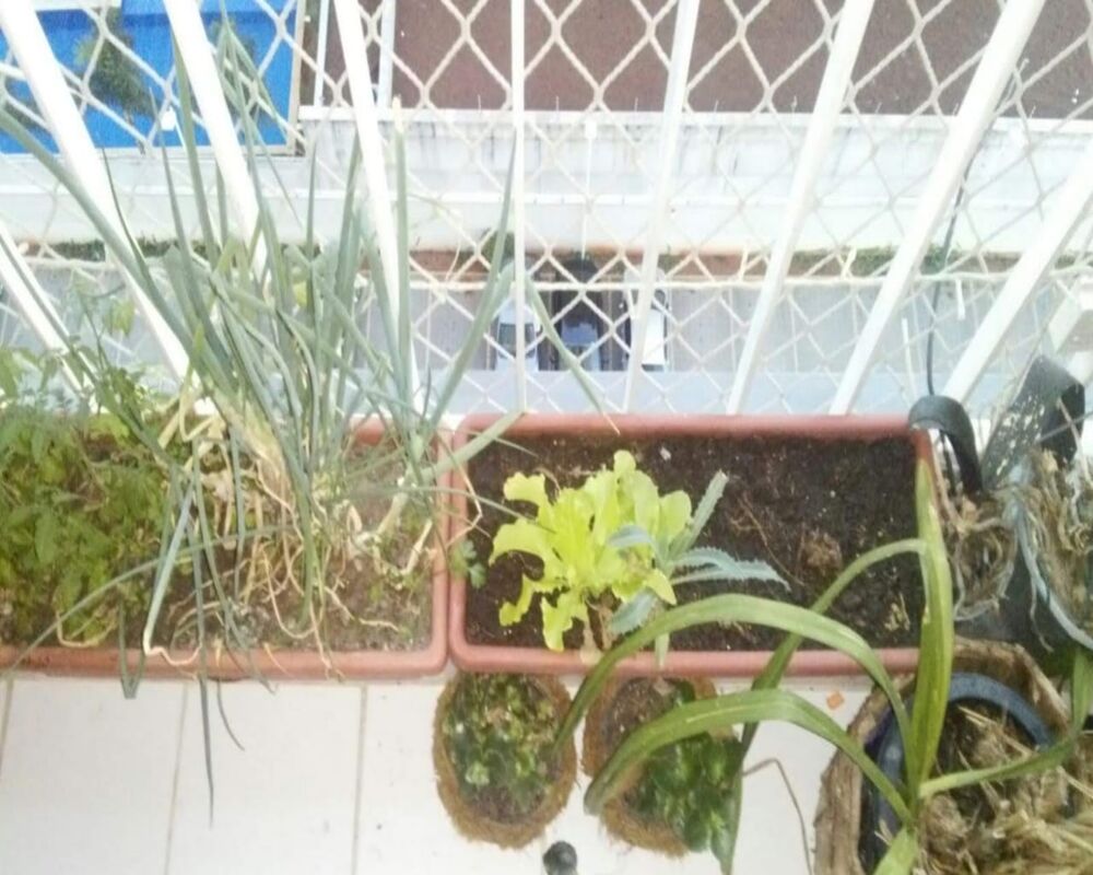 Apartamento, 2 quartos, 52 m² - Foto 12