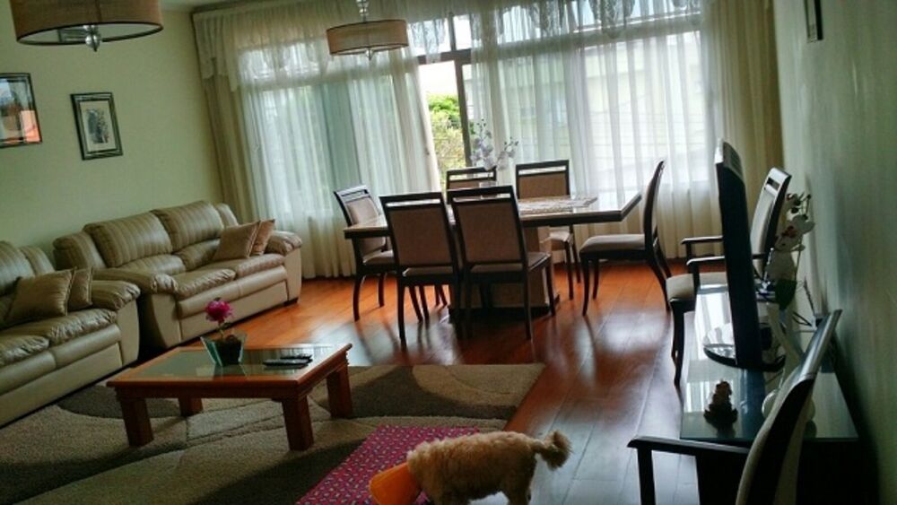 Casa, 3 quartos, 320 m² - Foto 13
