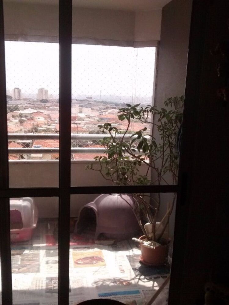 Apartamento, 2 quartos, 50 m² - Foto 7